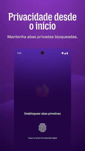 Firefox browser privado screenshot 3