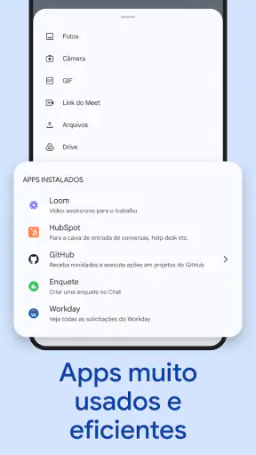 Google Chat screenshot 7