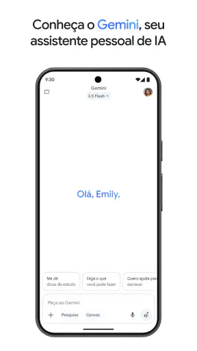Google Gemini screenshot 2