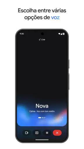 Google Gemini screenshot 8