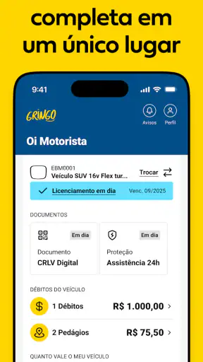 Gringo: Licenciamento, IPVA + screenshot 8