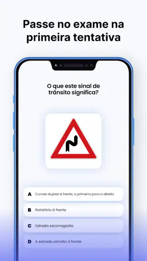 Instrutor de Direção screenshot 2