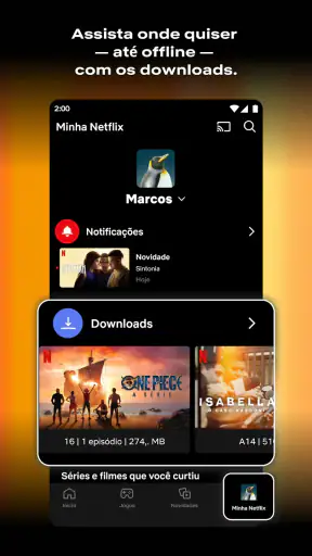Netflix screenshot 2