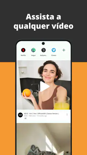 Navegador de vídeo screenshot 1