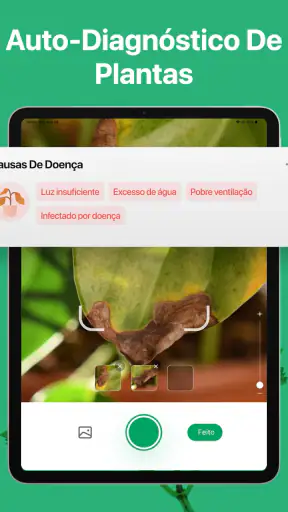 PictureThis Identificar Planta screenshot 12