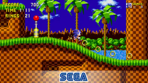 The Hedgehog 2 screenshot 1