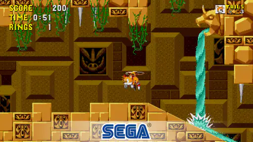 The Hedgehog 2 screenshot 2