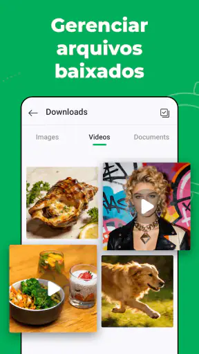 Web Scanner – Chat Duplo screenshot 5
